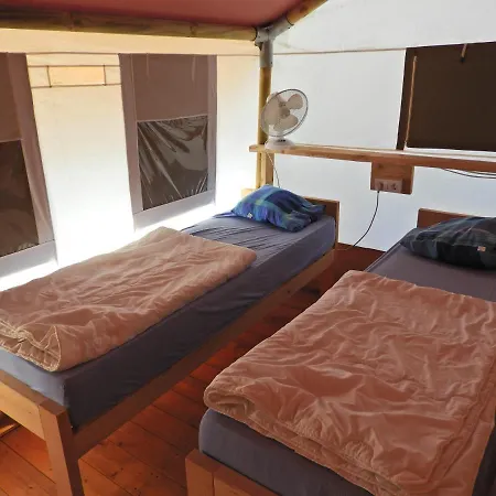 Dt Tent Holiday, Lanterna *